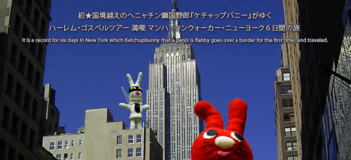 Ketchupbunny in New York